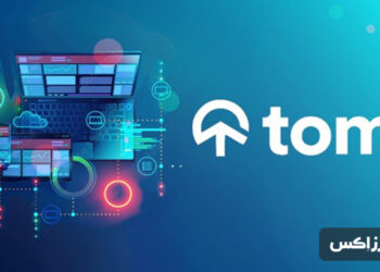 tominet price prediction