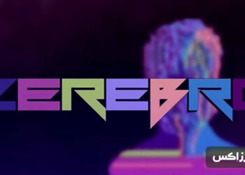 what is Zerebro