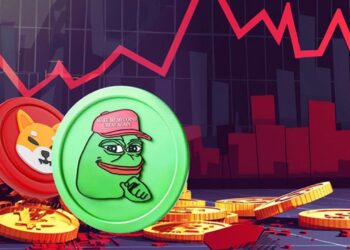 meme-coin-market-crashes-whales-dum