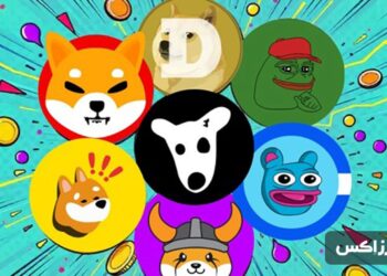 which-memecoin-should-you-trust