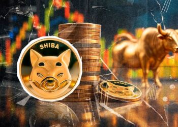 reasons-why-shiba-inu-shib-could-be-on-the-verge-of-a-price-rally