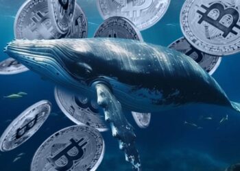 bitcoin-whale-moves-price-warning