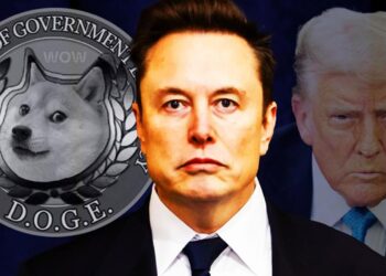 elon-musk-doge-shares-plans-to-avoid-us-recession