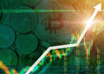 hype-taps-new-all-time-high-bitcoin-price-recovers-to-110k-market-watch