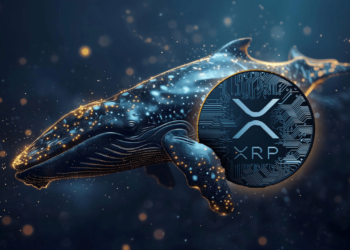 میزان مالکیت آمریکایی‌ها زمینه‌ساز خرید ۲۰۰ میلیون XRP؛ ریپل آماده جهش؟