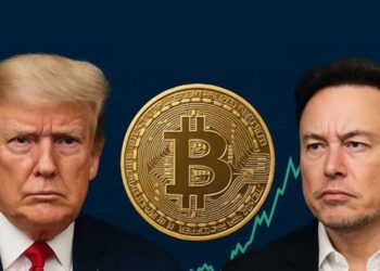 full-porting-bitcoin-could-be-musk-s-trump-card-in-feud-bitcoiners-