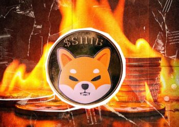 shiba-inu-burn-rate-rockets-1283329-shib-price-up-for-comeback