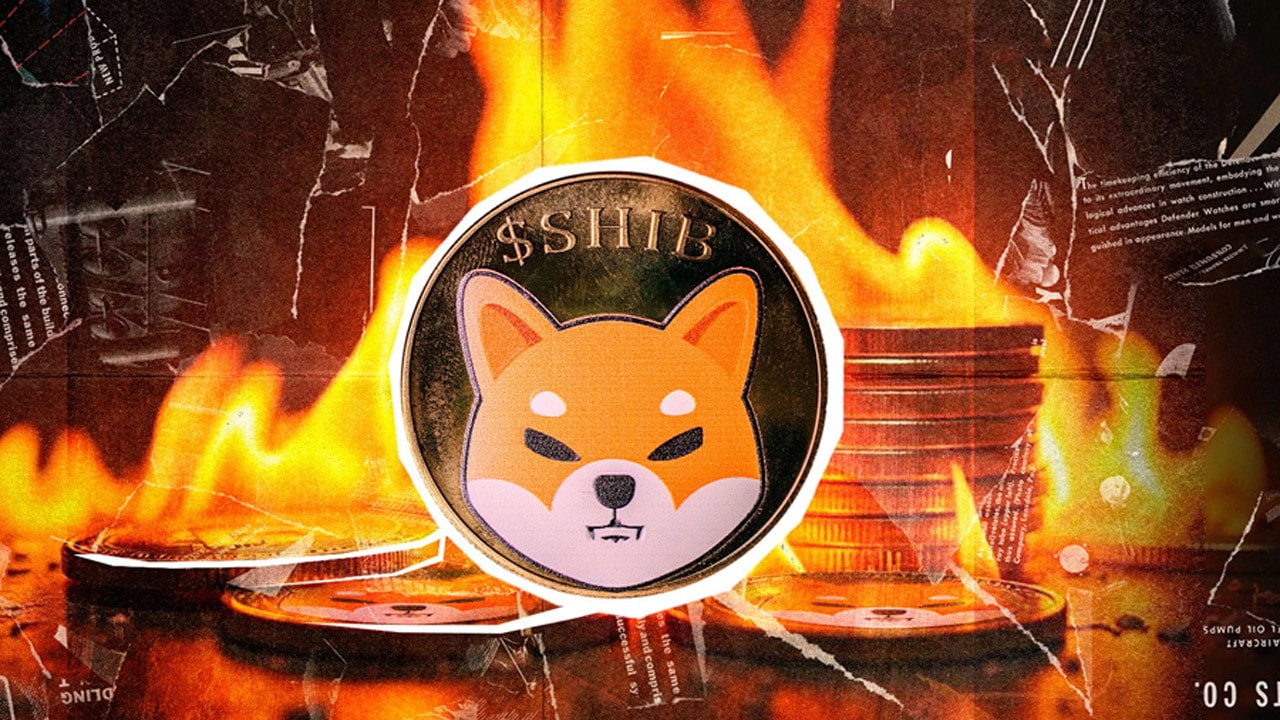 shiba-inu-burn-rate-rockets-1283329-shib-price-up-for-comeback