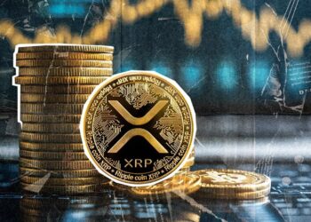 ripple-xrp-rally-cools-after-hitting-3-65-whats-next
