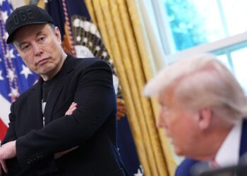 trump-musk-feud-america-party-meme-coin-