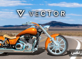 what-is-Vector-Finance