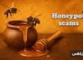 هانی پات ارز دیجیتال چیست؟ چگونه در دام honeypot نیفتیم؟