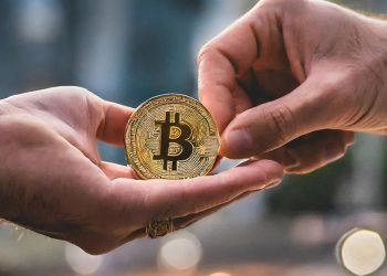 bitcoin-ownership-shifts-whales-cash-out-as-mid-tier-investors-rise-in-2025