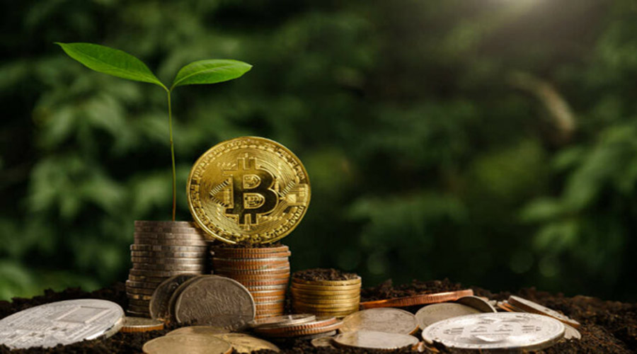 مدیریت سرمایه در کریپتو 